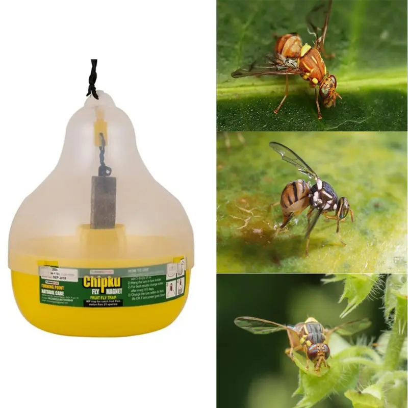 10 pcs Chipku Max Plus Trap for Fruit Fly Lure